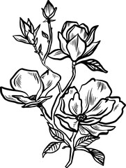 Flowering magnolia branch of scratch style. Sketch engraving vector illustration. Scratch board style imitation. Black and white hand drawn image.