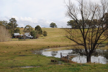 The landscape view of the fields in the Blue Mountains on the sunny day