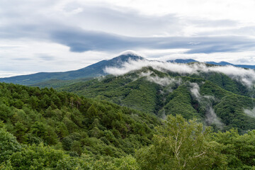 Fototapeta na wymiar 信州車山高原の朝靄