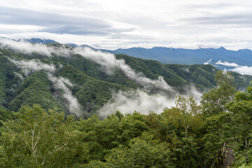Fototapeta na wymiar 信州車山高原の朝靄