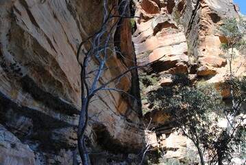 The bright cliffs with the rocks in the Blue Mountains in the national park, Australia