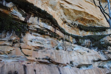 The bright cliffs with the rocks in the Blue Mountains in the national park, Australia
