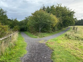 Plakat path in the park