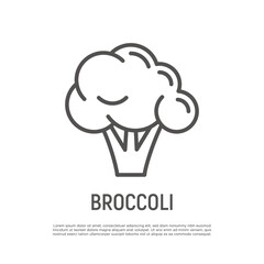 Broccoli thin line icon. Healthy vegan food. Ingredient for salad. Vector illustration.
