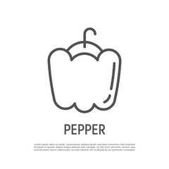Bell pepper thin line icon. Healthy vegan food. Vector illustration.