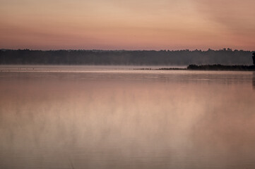 ptactwo wodne we mgle na jeziorze o poranku