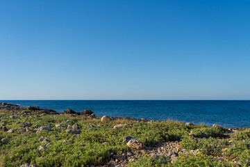 Fototapeta na wymiar Rocky shore of Posto Rosso, Salento, Puglia, Southern Italy, with green and lush vegetation, in a sunny summer day, with bright colors, clear water and blue sky. 