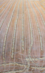 Aerial view of the agricultural landscape in Villatomil, Medina de Pomar in the region of Las Merindades, Burgos, Castilla y Leon, Spain, Europe