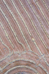 Aerial view of the agricultural landscape in Villatomil, Medina de Pomar in the region of Las Merindades, Burgos, Castilla y Leon, Spain, Europe