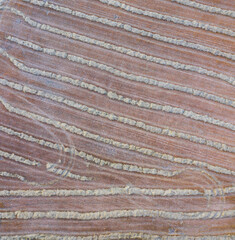 Aerial view of the agricultural landscape in Villatomil, Medina de Pomar in the region of Las Merindades, Burgos, Castilla y Leon, Spain, Europe