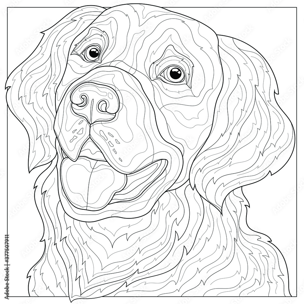 Wall mural Dog.Golden Retriever.Animal.Coloring book antistress for children and adults. Illustration isolated on white background.Black and white drawing.Zen-tangle style.