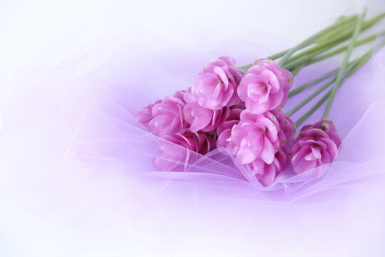 1 210 Best チュール Images Stock Photos Vectors Adobe Stock
