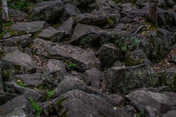 big large gray rough textured chipped stones with moss in green grass in forest