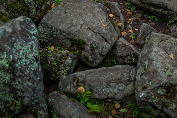large gray rough big textured chipped stones with moss in green grass in forest