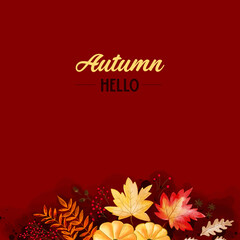 Autumn background with maples leaves, pumpkin, and other fall leaves in red background with hello autumn message written on it.