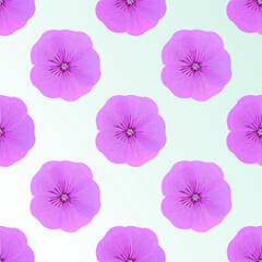 The pink Petunia flower with a light blue gradient background, geometric pattern, seamless texture, vector.