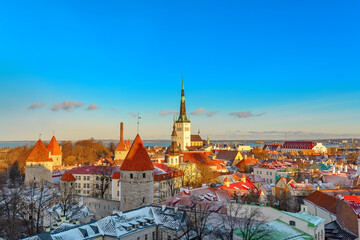 Fototapeta na wymiar Tallinn city. Estonia. Snow on trees in winter