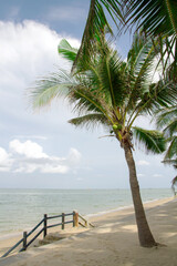 Fototapeta na wymiar Tropical beach with palm trees, Thailand
