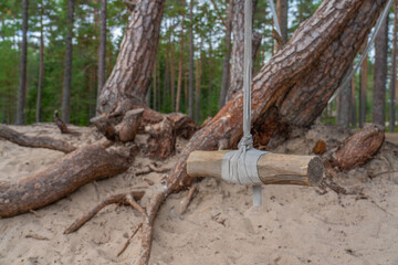 Obraz premium Bungee on pine tree near lake coast