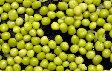green peas boiled background