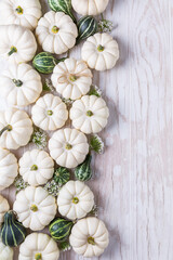 Border for Thanksgiving with small white and green pumpkins