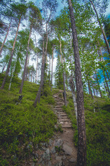 Obraz premium hiking footpath in beautiful wilderness in Finland