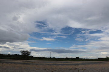 日本の綺麗な空と植物