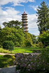 Japanese garden with pagoda