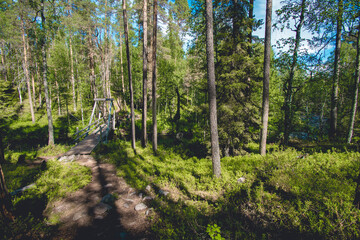 hiking footpath in beautiful wilderness in Finland