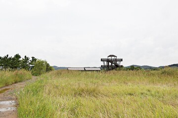 Fototapeta premium 한국 인천시 남동구 소래습지생태공원 입니다