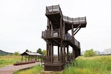 한국 인천시  남동구  소래습지생태공원 입니다