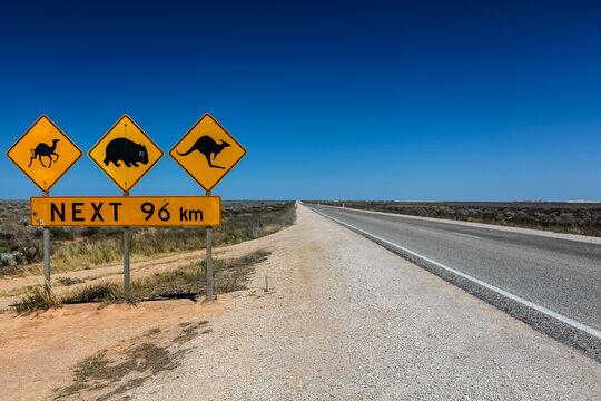 Roadsign Animals Camel Wombat Kangaroo