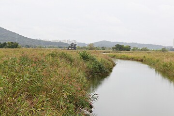 한국 인천시  남동구  소래습지생태공원 입니다