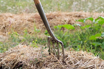 une-fourche-plantée-dans-un-tas-de-foin-161