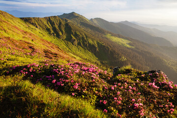 Eastern Carpathians in summer