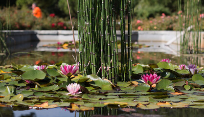 Natura © Telmo Rodríguez