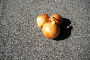 three onions on a gray plate