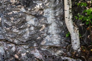 Gray big murble textured rocks