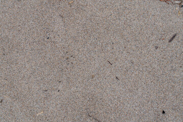 Wet gray sand texture on lake shore