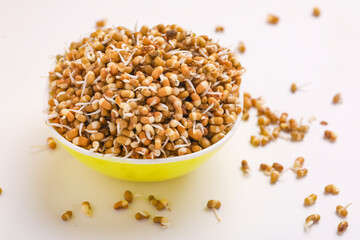 fresh Sprouted matki in bowl , Sprouted moth