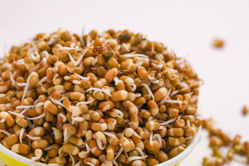 fresh Sprouted matki in bowl , Sprouted moth