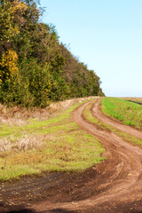 Country road with mud. Rural dirt damaged wet road with car tire traces after heavy rain