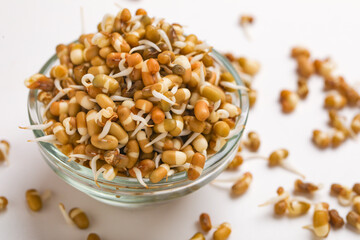 fresh Sprouted matki in bowl , Sprouted moth