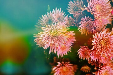 blooming flowers with vintage light shining background