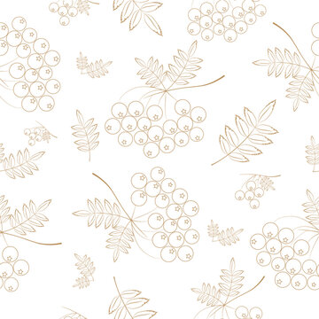 seamless pattern with rowa