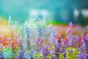 blooming flowers with vintage light shining background