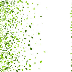 Swamp Foliage Realistic Vector Backdrop. Swirl 