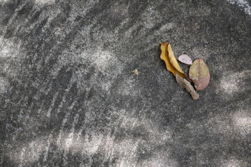 Old cement floor in Thailand