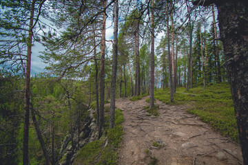 Obraz premium hiking path near a lake in finland