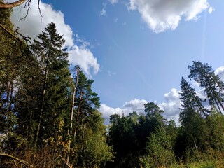 sky and clouds